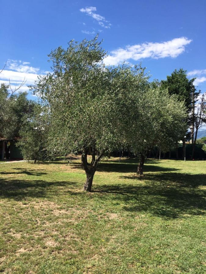Fragolina Per Due Villa Lucca Exterior photo